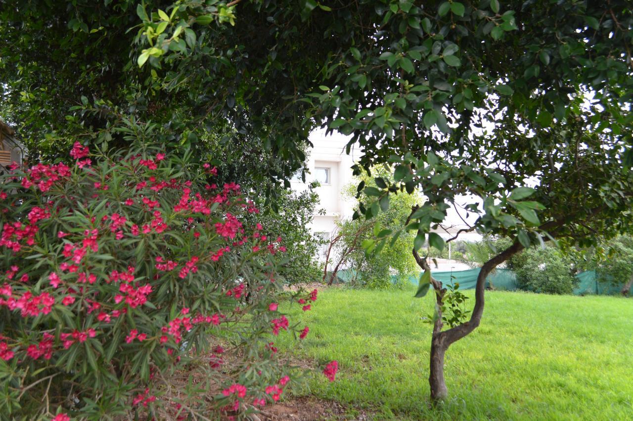 Appartamento Chrysland Ayia Napa Esterno foto