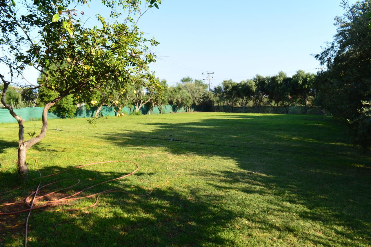 Appartamento Chrysland Ayia Napa Esterno foto