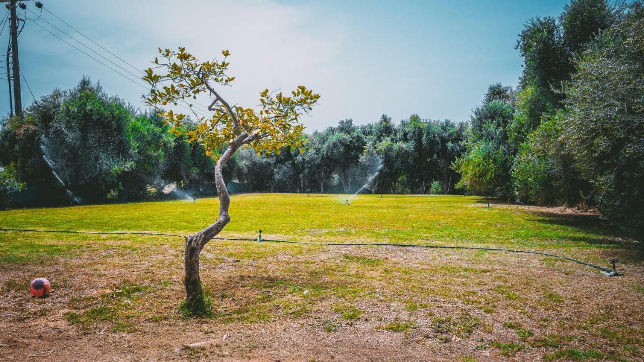 Appartamento Chrysland Ayia Napa Esterno foto