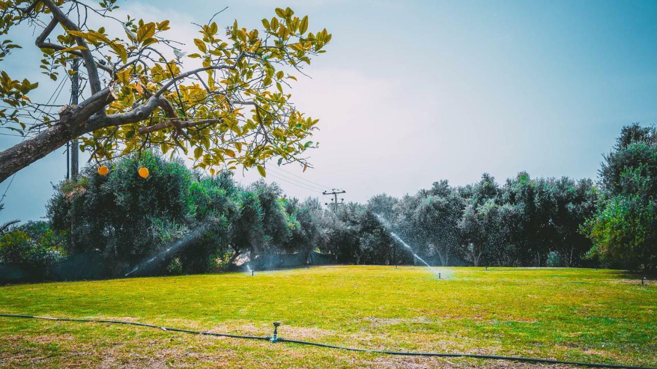 Appartamento Chrysland Ayia Napa Esterno foto