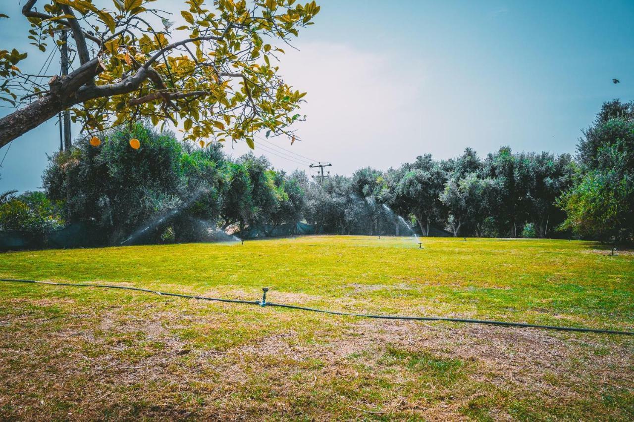 Appartamento Chrysland Ayia Napa Esterno foto